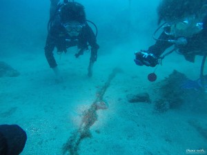 DCIM101GOPROGOPR2473.JPG
