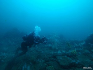 DCIM136GOPROGOPR8489.JPG