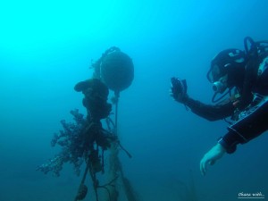 DCIM136GOPROGOPR8514.JPG