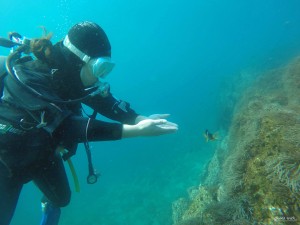 DCIM100GOPROGOPR8908.JPG