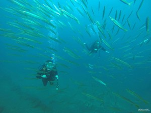 DCIM136GOPROGOPR9005.JPG