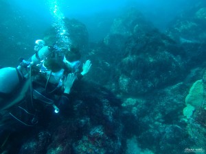 DCIM136GOPROGOPR9035.JPG