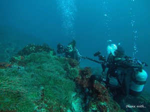 DCIM100GOPROGOPR9408.JPG