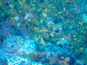 S__343261208