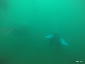 DCIM100GOPROGOPR9511.JPG