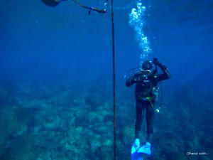 DCIM100GOPROGOPR9559.JPG