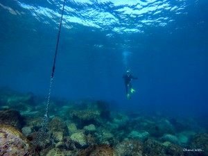 DCIM100GOPROGOPR9561.JPG
