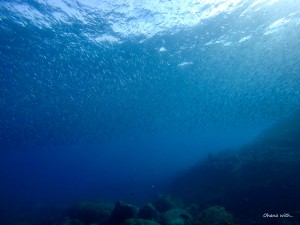 DCIM100GOPROGOPR9566.JPG