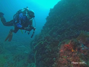 DCIM100GOPROGOPR0005.JPG