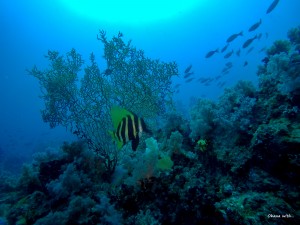 DCIM100GOPROGOPR0026.JPG