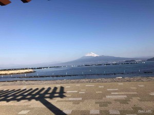IMG_8712