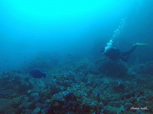 line_oa_chat_210208_185128