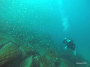 DCIM100GOPROGOPR4660.JPG
