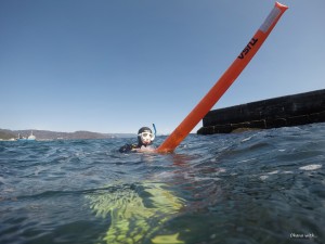 DCIM100GOPROGOPR4766.JPG