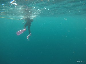 DCIM100GOPROGOPR6063.JPG