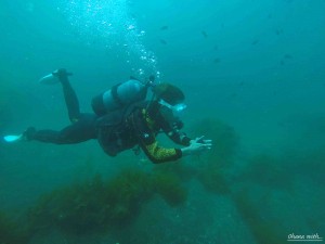 DCIM100GOPROGOPR0020.JPG