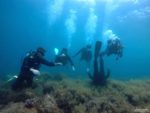 DCIM100GOPROGOPR0027.JPG