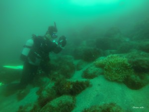DCIM100GOPROGOPR0030.JPG