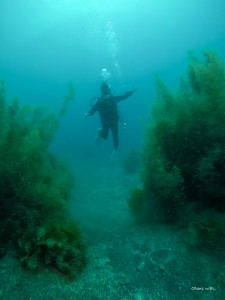 DCIM100GOPROGOPR0036.JPG
