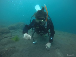 DCIM100GOPROGOPR0050.JPG