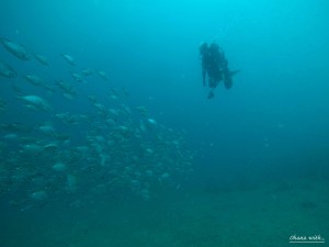 DCIM100GOPROGOPR6056.JPG