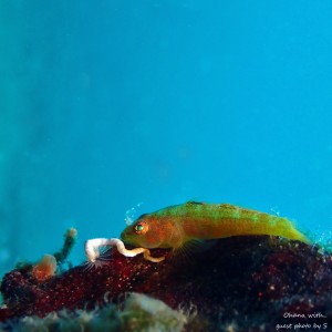line_oa_chat_210427_185752