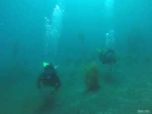 DCIM100GOPROGOPR0004.JPG