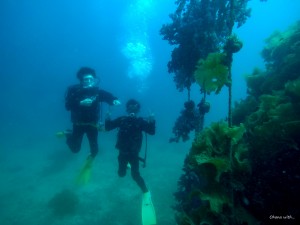 DCIM100GOPROGOPR0020.JPG