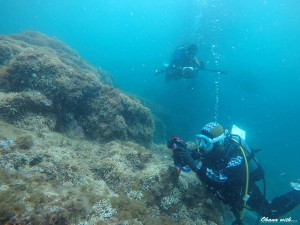 DCIM105GOPROGOPR1141.JPG