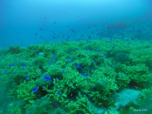 DCIM100GOPROGOPR6385.JPG