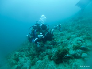 DCIM100GOPROGOPR6403.JPG