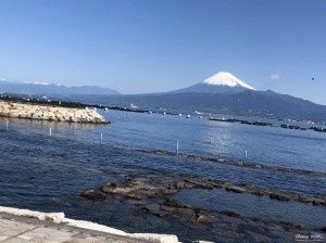line_oa_chat_210503_170047