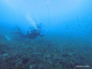 DCIM100GOPROGOPR0016.JPG