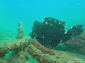 line_oa_chat_210711_180944