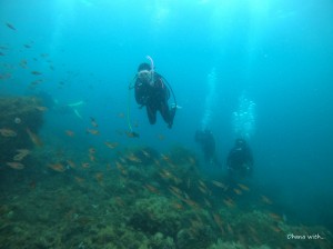 line_oa_chat_210723_205708