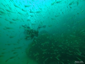 DCIM100GOPROGOPR0016.JPG