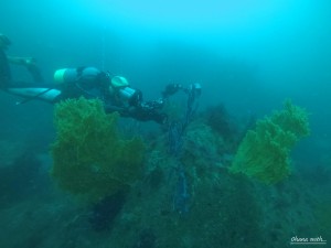 DCIM100GOPROGOPR0019.JPG