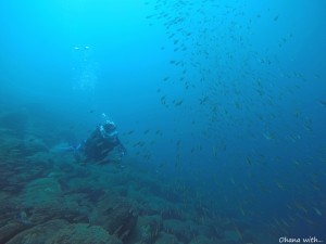 GOPR0049