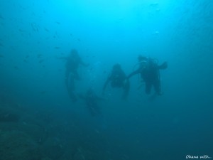 GOPR0053