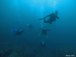 GOPR0011