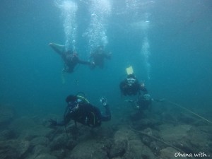 GOPR0037
