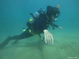 DCIM100GOPROGOPR0061.JPG