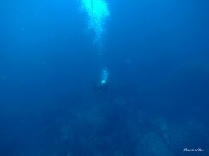 GOPR0004