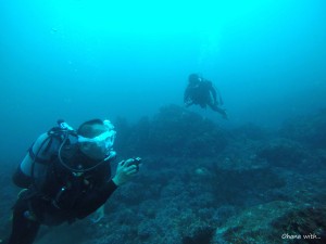 DCIM100GOPROGOPR0019.JPG