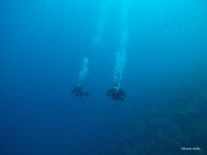 GOPR0019