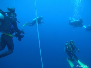 DCIM100GOPROGOPR0020.JPG