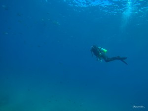 GOPR0025