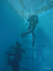GOPR0027