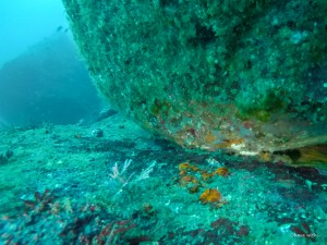 GOPR0043
