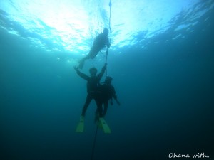 GOPR0484